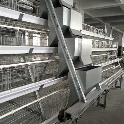 China Operación fácil de las aves de corral del alto rendimiento del alimentador del control moderno automático del sistema en venta