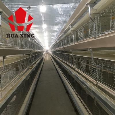 China 128 - 176 Birds Capacity High Performance H Type 4 Tier Broiler Chicken Cage for sale