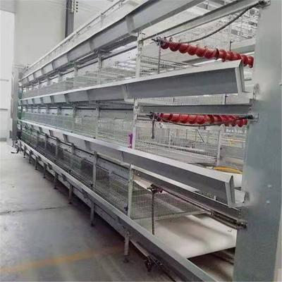 Chine Type de 3 rangées H cage de poulet de couche pour froid de ferme de grilleur galvanisée à vendre