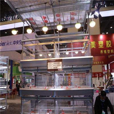 China Q235 Steel Wire Baby Chick Cage H Type 1 Day To 40 Days chick for sale