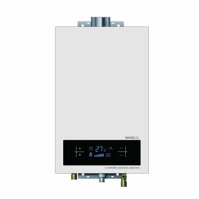 China Hotel Gas Shower Water Heater Natural Gas Tankless Water Heater for sale