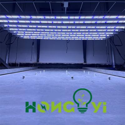 China Seed Starting Hongyi 2022 With 450NM Blue And Red Seedling 660NM 18W Demand Clone LED Light Bars for sale