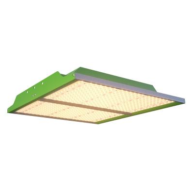 China Eco-friendly HongYi Model Q 200w Full Spectrum LED Grow Lights For Indoor Hydroponics Greenhouse for sale