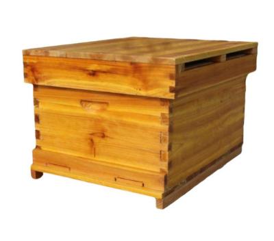 China Beekeeping Beekeeping Equipment Clear Polish Wooden Beehive Kit With Frame for sale