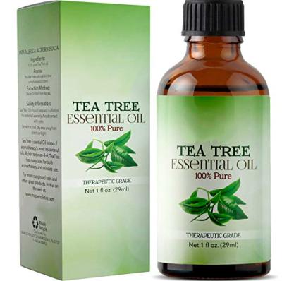 China Leaves 100% Therapeutic Pure Tea Tree Leaves Tea Tree Oil Exporters Grade Essential Oil For Skin And Hair for sale