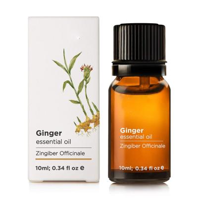 China Moisturizer Hydrating Cream 10ml Ginger Essential Oil Body Oil Body Massage Ginger Thermal Flower for sale