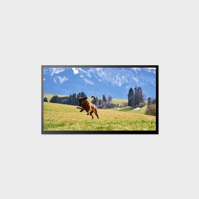 China 23.8 inch Hoge Helderheid LCD Display 58W 1920*1080 LVDS LCD Panel 1000nits Te koop