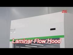 Laboratory Airtech Clean Bench Desktop Laminar Flow Work Bench