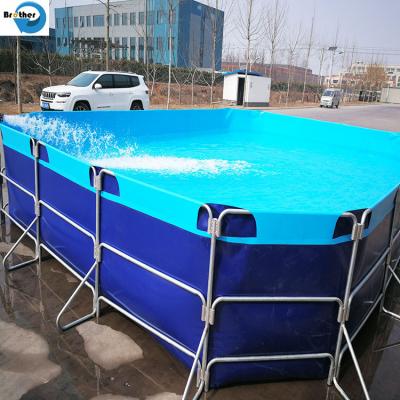 China Biofloc fish tank aquaculture fish farming tanks zu verkaufen