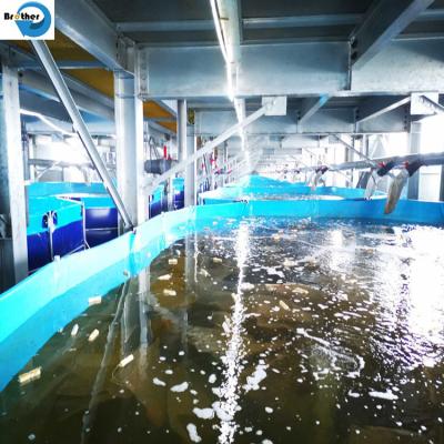 中国 High strength plastic fish farm tank for fish keeping 販売のため