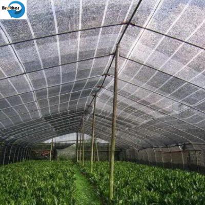 China New HDPE Agriculture Greenhouse Garden Black Plastic 70% Sunshade Netting, Vegetable Greenhouse Dark Green Sunshade Net zu verkaufen