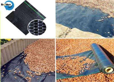 China PP Slit Film Woven Weed Control Ground Cover Membrane Landscape Fabric Te koop