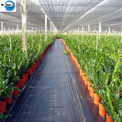 China PP Weed Cloth Ground Cover Weed Control Mat, New Material or Recycled Weed Barrier Mat, Plastic Fabric for Garden for sale