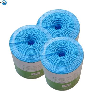 China Factory Direct Sale Uv-treated Polypropylene Baler Twine Square Baler Twine Hay Baler Twine for sale