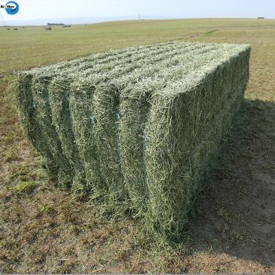 China High Quality PP Twine Manufacture Baler Twine For Agriculture In China zu verkaufen