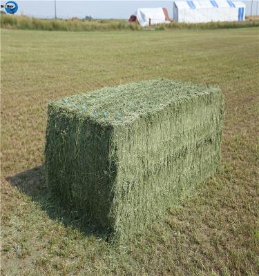 China Agriculture PP/ PE Packaging Baler Twine zu verkaufen