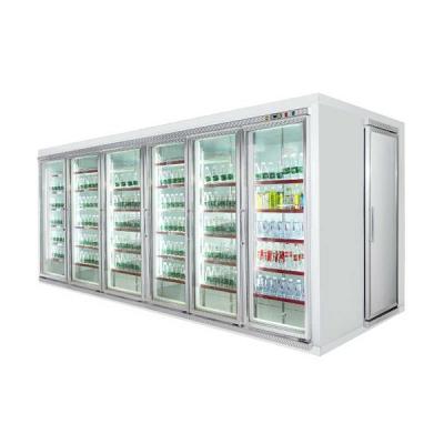 China Single-temperature Customizing Glass Door Walk In Cold Room Storage Freezer For Beverage Display for sale