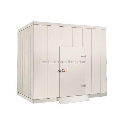 China Single-temperature best cold storage cold room coolers and walk-in freezer rooms freezer cabinets for sale