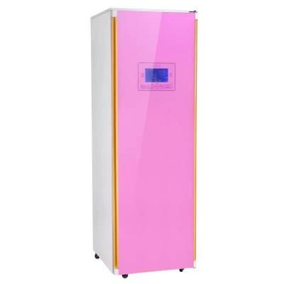 China Hotel New Arrival Portable Electric Hanging Clothes Dryers for sale