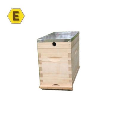 China Australian Bee Farm Mating Bee Hive Bee Box 5 Frame Queen Raising Core Nuc Mini Wooden Box for sale