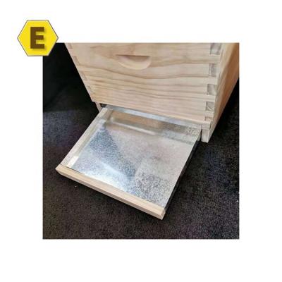 China Bee Hive Mesh Farm Ventilated Base Base Panel With Beetle Trap Hive Bottom Panel for sale