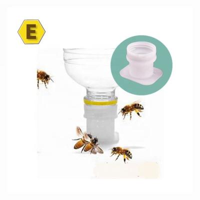 China Plastic Bee Farm Food Grade Entry Bee Feeder Capsule Water Feeder Perforated Automatic Waterer Beekeeping Tool for sale