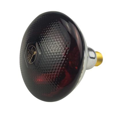 China Small IR par38 E27 glass infrared heat lamp for pets poultry for sale