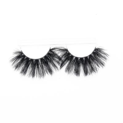 China Eyelash-Extension-Wholesale professional full effect hot sale natural and realistic soft eyelash extension kits texture for sale