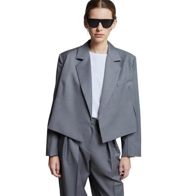 China Factory High Quality Spring Autumn Cropped Blazer Suit Elegant QUICK DRY 2 Pieces Blazer Pants Unisex Suits For Women for sale