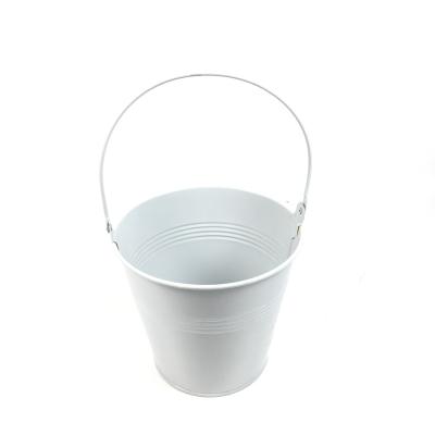 China Metal Viable Decorative Galvanized Steel Bucket With Powder Coating Mini Flower Pot Bucket for sale