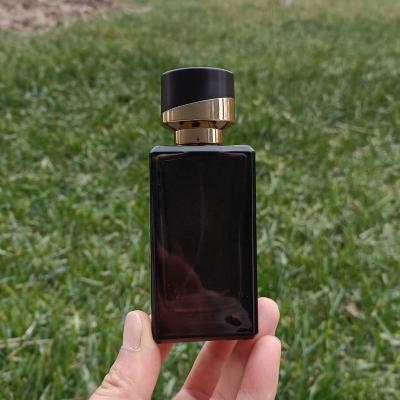 China Personal Care Packaging 100Ml Perfume Oil Glass Perfume Spray Bottles Empty Black Transparent Glass Spray Bottles for sale