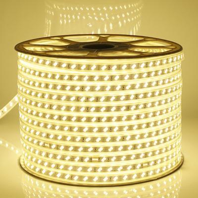 China Hotel LED lamp belt 2835 3030 5730 5050 indoor 220V lamp change two row three row lamp waterproof light belt for sale