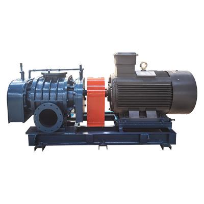 China Sewage Treatment Pneumatic Roots Fan Sewage Treatment Pneumatic Conveying Fan Special High Power Blower for sale