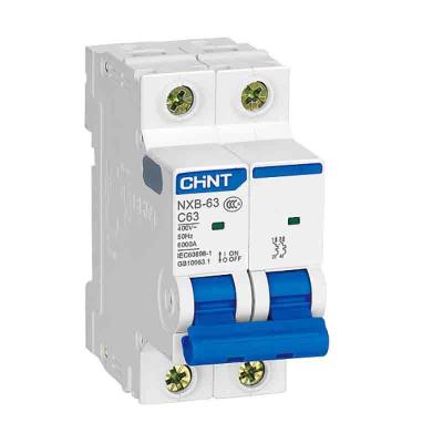 China Overload type D 63A chint MCB NXB-63 2p miniature circuit breaker for sale