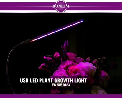 China USB LED Grow Light Full Spectrum 3W 5W 5V DC Fitolampy DC For Greenhouse Seedling Vegetable Plant Lighting UV IR Phyto Growing Lamp M294 for sale