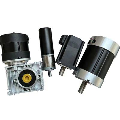 China Afmeting 30mm-110mm Vermogen 10w-2000w Aanpasbaar Gepoetste Borstelloze PM Elektrische Dc Motor CE RoHS 12vdc 24vdc 36vdc 48vdc Te koop