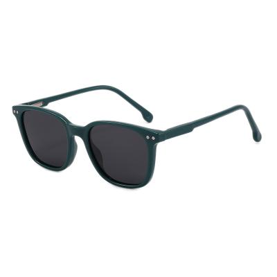 China Good Selling Fashion Sunglasses Tr90 Polarized Fashionable Sunglasses Frame Uv400 Viper Kids Outdoor Sunglasses for sale