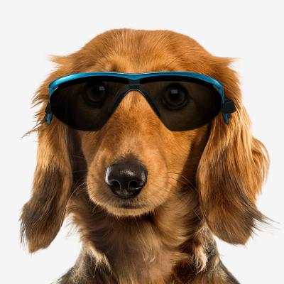 China Fashion Sunglasses Pet Supplies Summer Sunscreen Pet Glass Dog Eyewear Windproof Sunglasses for sale