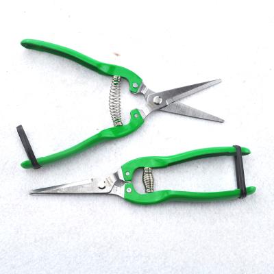 China Anti-skid Handle Stainless Steel Garden Bonsai Grape Hand Pruner Chinese Pruner Pruners Shears Scissors for sale