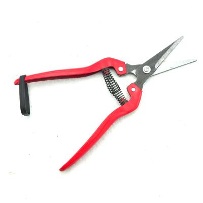 China Anti-slip handle plant pruner fruit picking flower shears fruit mini bypass plant pruner for sale