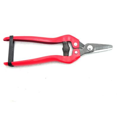 China Anti-skid pruning fruit flowers handshake scissors pruners floral picking shears bonsai silk shears for sale