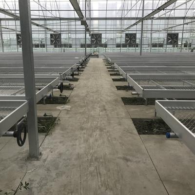 China Galvanized Steel Ebb Tables Growing Benches System Ebb And Flow Hydroponic Greenhouse Seed Bed for sale