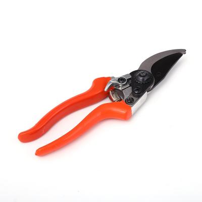 China Anti-Slip Handle SUPPLEMENT DEFICIENCY Small Garden Bypass Tree Shears Branch Trimming Cutting Pruner with High Quality Floral Scissors for sale