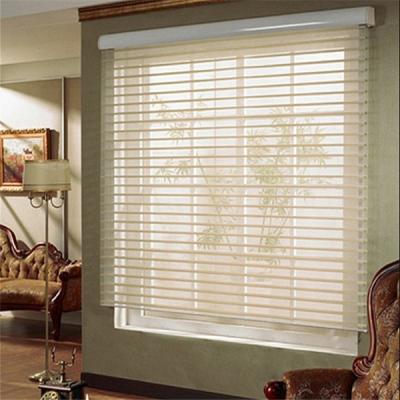 China Low Price Shangri-La Anti-UV Roller Blinds Shade Portable Window Shades For Windows Guangzhou Factory for sale