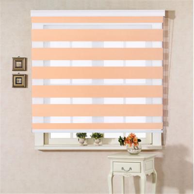 China Blackout New Hot Sale Indoor Home Window Zebra Roller Shade Day And Night for sale