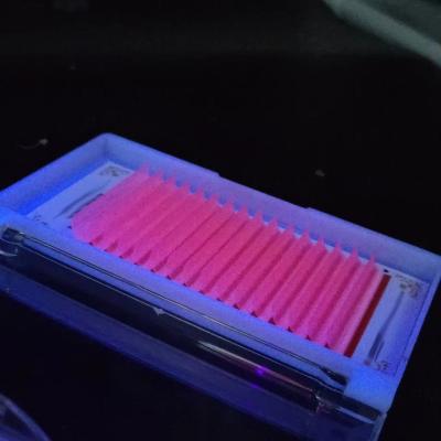 China New Design Natural Soft High Quality Party Style Natural Tapered Eyelash Wick 3D Fluorescence Custom Eyelashes for sale