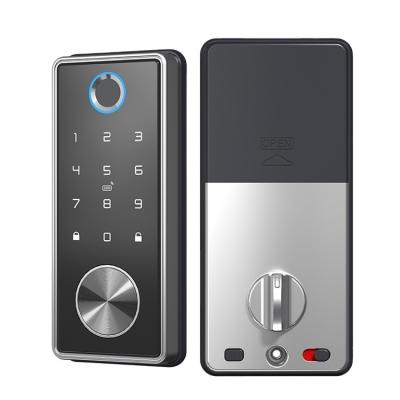 China Silvery Zinc Alloy Fingerprint Door Lock for Home Office WiFi Tuya Network Compatible for sale