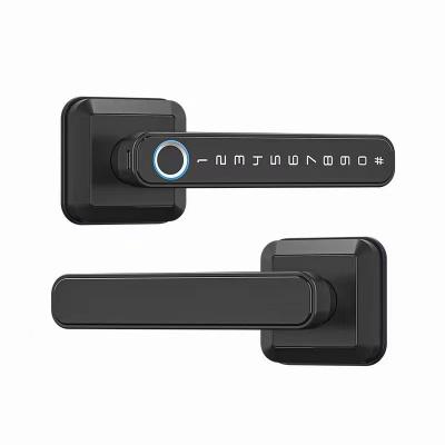 China WiFi Connected Bluetooth Entry Lock Handle for Modern Simplicity Style Door Lock for sale