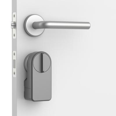 China 95% Compatibilidade de portas Vintage Handle Smart Lock com Bluetooth e tecnologia digital à venda