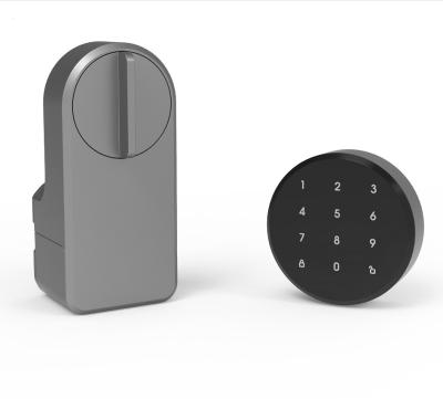 China tech Household Tuya App Wifi Wireless Keypad Smart Blue Tooth Porta fechada para conveniência à venda